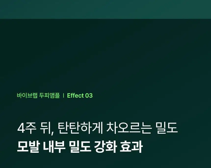 [2025어워즈/2년연속수상] 바이브랩 리바이브 테라피 헤어 스칼프 앤 브로우 앰플 더블기획 상세페이지 19